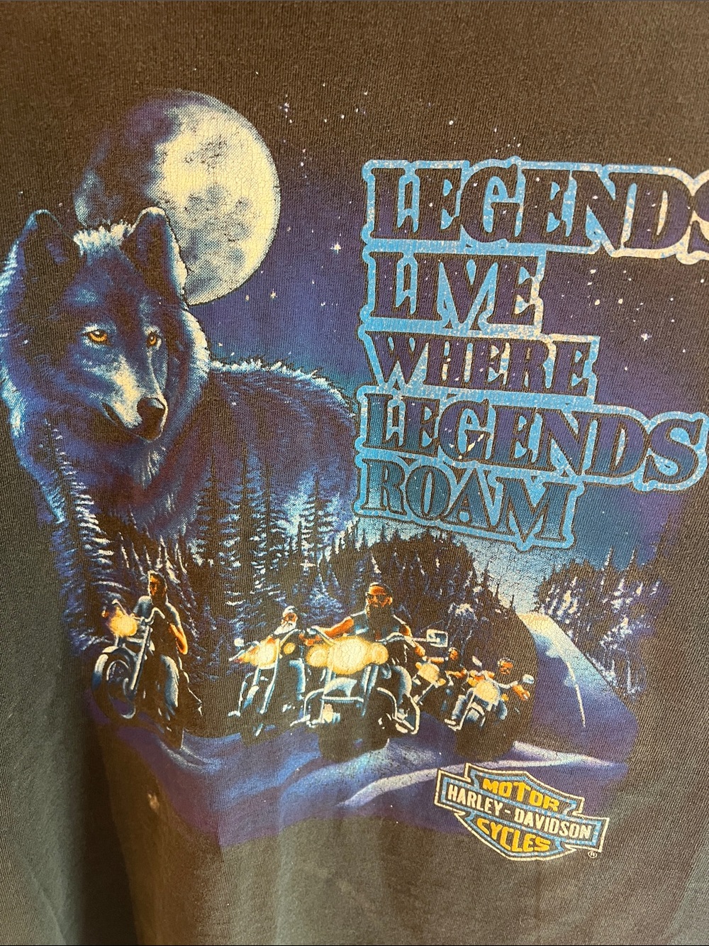 VINTAGE 1991 HARLEY DAVIDSON LEGENDS LIVE WHERE LEGENDS ROAM TSHIRT XXL